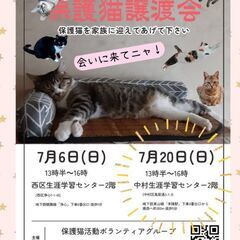 2025/7/20(日) 猫の譲渡会🐾名古屋市  中村区 …