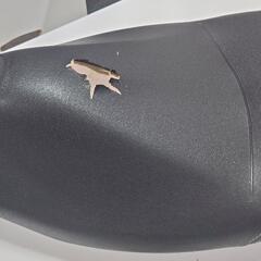 ヤマハ マジェスティS 155cc 純正シート 破れあり
