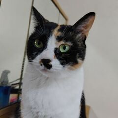 オペレーターの方と仲良くなりたい