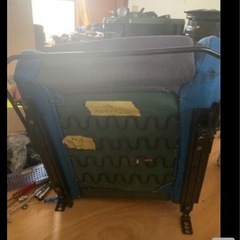 セミバケ値下げしましたの画像