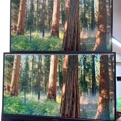 【引取限定】モニター2枚の画像
