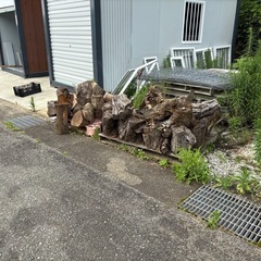 薪⭐︎玉切り完了⭐︎無料の画像