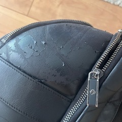 Samsonite サムソナイトブラックレーベル　リュックの画像