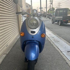 ビーノ！の画像