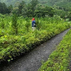植林、農業