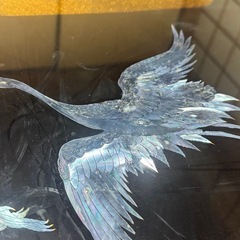 ⭐︎骨董品⭐︎床の間用漆塗りシェル彫刻高級ローテーブルの画像