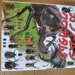 小学館図鑑　カブトムシ・クワガタムシ　