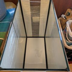 600ガラス水槽の画像
