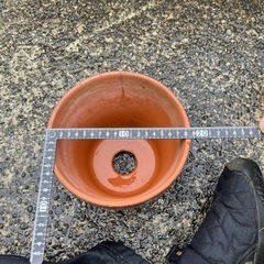 まとめて植木鉢各種。の画像