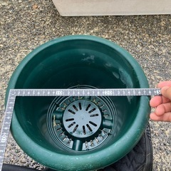 まとめて植木鉢各種。の画像