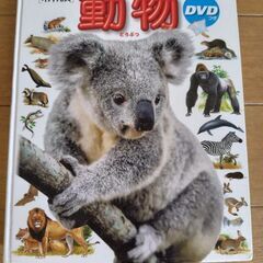 小学館図鑑　動物　DVD付き