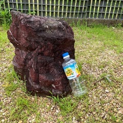 石【おまけに2lの水orお茶6本お付けします】の画像