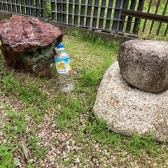 石【おまけに2lの水orお茶6本お付けします】の画像