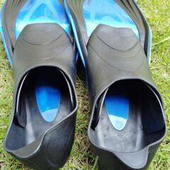 フィン　中古の画像