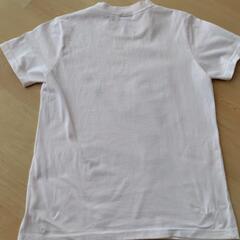新品　Ｔシャツの画像