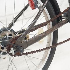 ARCHNESS 20インチ シティサイクルの画像
