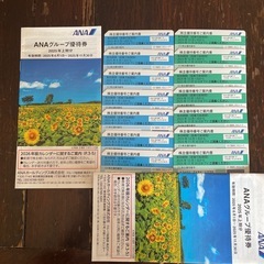 ANA全日空株主優待券　14枚セット　グループ割引券2冊