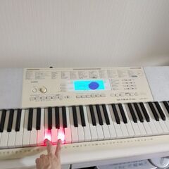 CASIO 電子ピアノ （液晶に難。機能は問題なし）