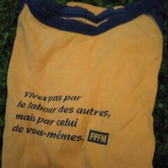 メンズ黄色tシャツ半袖の画像