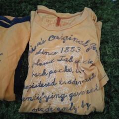 メンズ黄色tシャツ半袖の画像