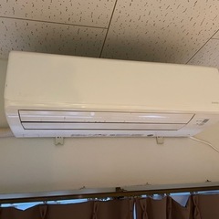 パームスエルア メタルウィッチ MTGC-611M