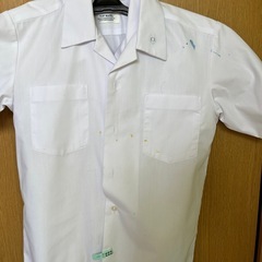 学芸中夏シャツの画像