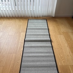 ニトリ　ゴザの画像