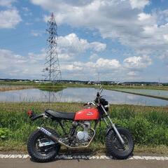 ホンダ APE50用 オーバーレーシング フルエキゾースト マフラーの画像