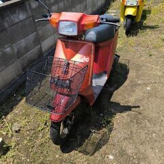 引取り限定‼️原付50ccスズキ　カーナ　ジャンク