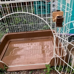 受け渡し終了猫用ゲージの画像