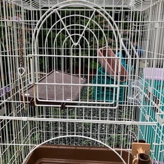 猫用ゲージ