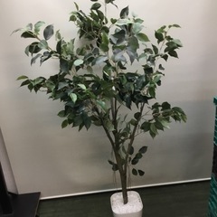 造花　観葉植物　ベンジャミン　⭐︎98432の画像