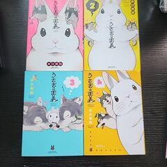 うさぎは正義