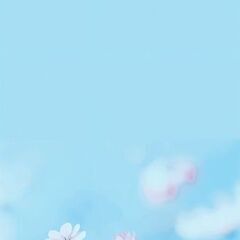 🌸【日常に“使える学び”を】 暮らしに寄り添う、情報発信のための基礎レッスン📘の画像