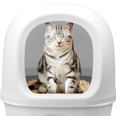 猫トイレ