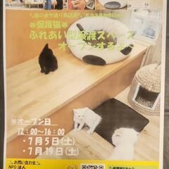 7月5日保護猫とのふれあい型譲渡スペースオープン