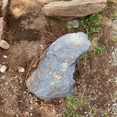 庭石の画像