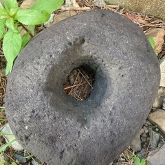 庭石の画像