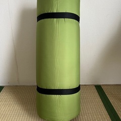 【未使用】Coleman(コールマン) エアーマット キャンパーインフレーターマット Wの画像