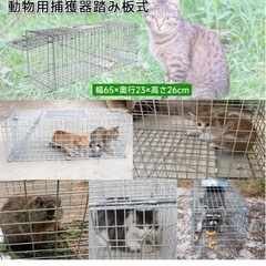 アニマルキャッチャー無料で譲ってください