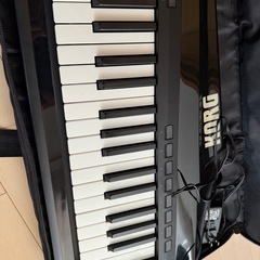 KORG RK-100S 動作不安定の画像