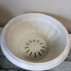 プラスチック鉢　7個セット
の画像