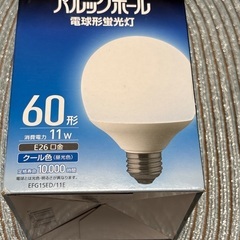 パルックボール　60形　パナソニック