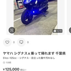シグナス2型国内 