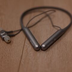 ソニー ワイヤレスノイズキャンセリングイヤホン WI-C600N : Bluetooth対応/ Amazon Alexa搭載 /モデル/apt-x対応 2019年モデル / マイク付き /グレー WI-C600N HMの画像