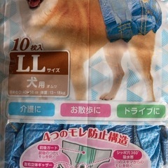 　犬用　マナーパンツLLの画像