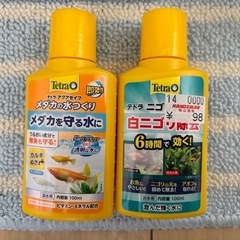 メダカ水槽セットの画像