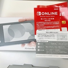 SwitchLite グレー　スイッチライト