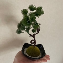 松の置物
