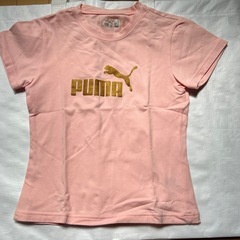 PUMA( Mサイズ)Tシャツセットの画像